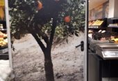 Local comercial en alquiler con 119m² en Vitoria, en la zona de Ensanche, Calle Rioja, 12 foto