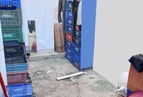 Foto 9