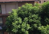 Edifici
en venda
amb 259m² a Tortosa foto