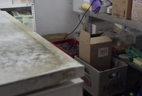 Foto 19