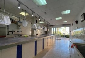 Foto 9