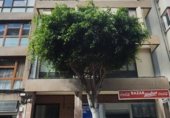Oficina
en venda
amb 80m² a Las Palmas de Gran Canaria, Paseo Tomás Morales foto