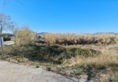 1230m² warehouse industrial for sale in Palafolls, Rambla de les Ferreries photo