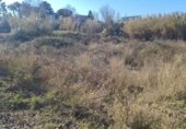 1230m² warehouse industrial for sale in Palafolls, Rambla de les Ferreries photo