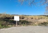 1230m² warehouse industrial for sale in Palafolls, Rambla de les Ferreries photo