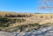1230m² warehouse industrial for sale in Palafolls, Rambla de les Ferreries photo
