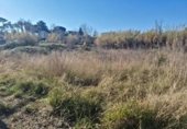 1230m² warehouse industrial for sale in Palafolls, Rambla de les Ferreries photo