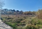 1230m² warehouse industrial for sale in Palafolls, Rambla de les Ferreries photo