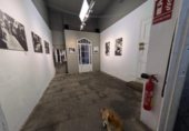 Local comercial
en venda
amb 260m² a Barcelona, a la zona de Barri Gòtic, Carrer d'Ataülf foto
