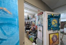 Foto 12