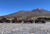 Local comercial
en venda
amb 60m² a Santiago del Teide, Carretera a Puerto foto