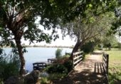 119m² commercial premises for sale in Almenara photo
