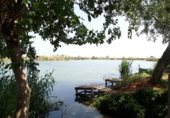 119m² commercial premises for sale in Almenara photo