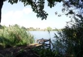 119m² commercial premises for sale in Almenara photo
