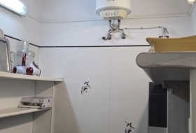 Foto 12