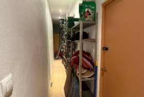 Foto 8
