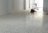 260m² locaux commerciaux pour location à Algemesí, Avenida del País Valenciano photo