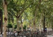Local comercial
en lloguer
amb 11m² a Sevilla, a la zona de Alfalfa foto