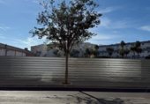 Local comercial en alquiler con 32m² en Cádiz, en la zona de Puerta Tierra foto