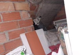 Foto 13