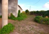 Local comercial en venta con 520m² en Santa Margarita, Ma-3410 foto