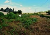 Local comercial en venta con 520m² en Santa Margarita, Ma-3410 foto