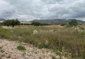 Local comercial
en venda
amb 75m² a la Romana foto