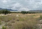 Local comercial
en venda
amb 75m² a la Romana foto