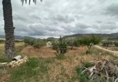 Local comercial
en venda
amb 75m² a la Romana foto