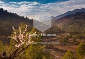 20724m² hôtel pour vente à Llíber, Carretera Gata photo