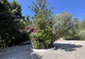 Restaurant
en venda
amb 243m² a Algesires foto
