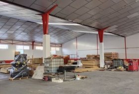 Foto 1