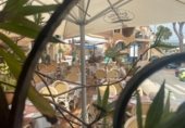 350m² restaurant pour vente à Calvià, Carrer Espiga photo