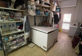 Foto 10