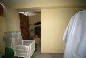 Foto 7