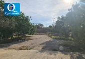 1100m² restaurant pour vente à Muchamiel photo