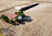 Nave en alquiler con 926m² en Abades foto