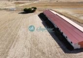 Nave en alquiler con 926m² en Abades foto