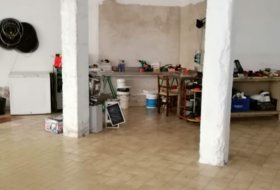 Foto 7