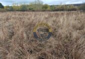 Nau Industrial
en venda
a Santovenia de la Valdoncina, Quintana De Raneros foto