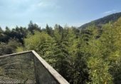 9570m² building for sale in Pomaluengo, Calle Llandera photo
