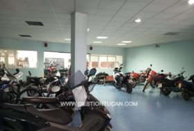 Foto 8