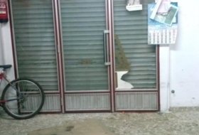 Foto 5