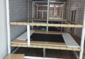 Local comercial
en venda
amb 115m² a Alacant foto