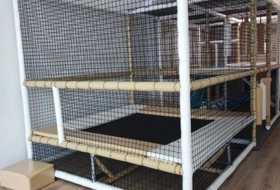Foto 12