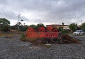 260m² warehouse industrial for sale in Elche, photo