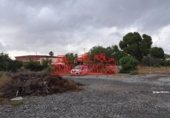 260m² warehouse industrial for sale in Elche, photo