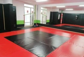 Foto 15
