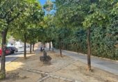33m² cafeteria for sale in Jerez, Calle Doctor L. Romero Palomo photo