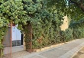 33m² cafeteria for sale in Jerez, Calle Doctor L. Romero Palomo photo